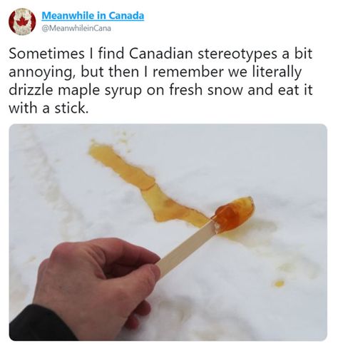 Canada Jokes, Canadian Stereotypes, Canadian Memes, Canada Memes, Canadian Humor, Meanwhile In Canada, Canadian Things, Hockey Memes, Hockey Humor