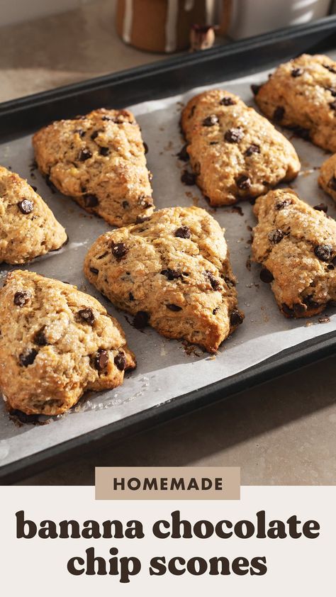 These banana chocolate chip scones are never dry thanks to the mashed banana in them. They're an extra decadent breakfast or snack with the melty chocolate chips sprinkled throughout. Banana Chocolate Chip Scones, Matcha Scones, Decadent Breakfast, Banana Scones, Chocolate Chip Scones, Raspberry Scones, Thyme Recipes, Banana Chocolate, White Chocolate Raspberry