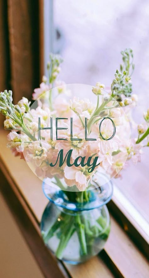 May Month Quotes, New Month Wishes, Neuer Monat, Birthday Month Flowers, New Month Quotes, Welcome May, May Quotes, Seasons Months, Hello May