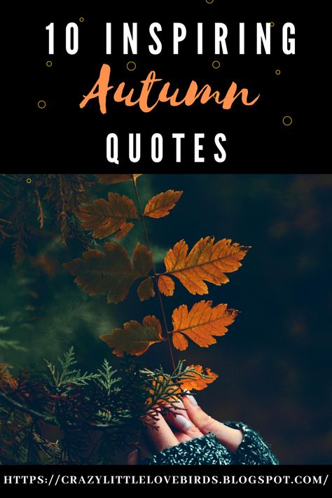 It Feels Like Fall Quotes, Quotes On Autumn Season, Fall Reflection Quotes, Fall Life Quotes, Autumn Blessings Quotes, Autumn Yoga Quotes, Fall Yoga Quotes, Fall Spiritual Quotes, Fall Garden Quotes