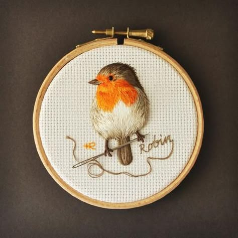 Bluebird Embroidery, Embroidery Brazilian, Birds Robin, Brazilian Embroidery Stitches, Needle Painting, Grey Squirrel, Embroidery Clothes, Cat Embroidery, 25 Hours