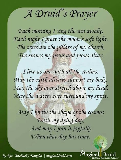 Druid's Poem. Celtic Druid Aesthetic, Druid Aesthetic, Celtic Paganism, Celtic Druids, Pagan Witch, Spell Book, Book Of Shadows, The Words, Psychic