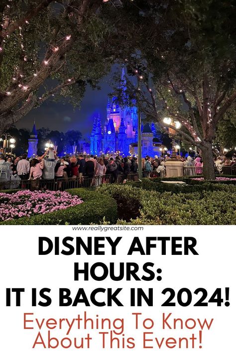 Disney After Hours is back! Experience Disney like never before at night! This amazing ticketed event is finally returning in 2024. Disney After Dark, Disney After Hours, Disney World Schedule, Disney Secrets, Disney World Vacation Planning, Disney 2024, Disney Vacation Planning, Disney Dining Plan, Disney Vacation Club