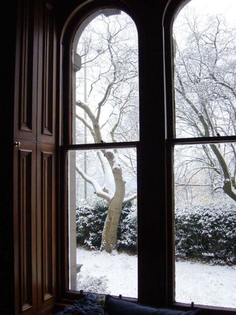 An Open Window, Looking Out The Window, Arched Windows, Window View, Winter Wonder, Through The Window, Open Window, Winter Aesthetic, Winter Scenes