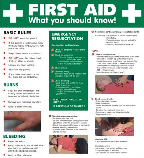 First Aid Awareness is suitable for all members of staff and will provide a basic awareness of the actions involved in providing simple first aid in the workplace. Read More. #firstaid #first #aid #course First Aid Poster, Workplace Safety Tips, Science Chart, Health And Safety Poster, Emergency Essentials, First Aid Tips, Safety Poster, Safety Courses, Safety And First Aid