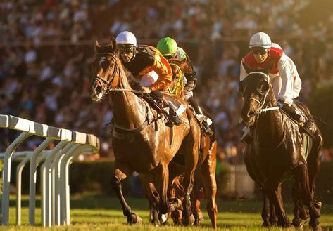 KENTUCKY OAKS - May 3, 2024 - National Today Derby Backdrop, Derby Decor, Selfie Station, King Horse, Scene Setters, Action Images, Equestrian Decor, Kentucky Derby Party, Derby Day