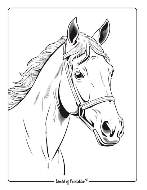 Printable Horse Pictures, Horse Printables Free, Horse Land, Different Horse Breeds, Acrylic Portrait Painting, Horse Facts, Cowboy Pictures, Farm Animal Coloring Pages, Adults Coloring