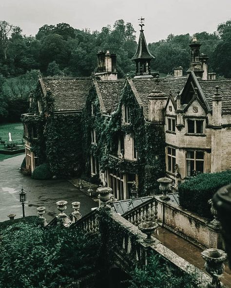 50+ Free Dark Academia Wallpaper Backgrounds | Wallpaper For iPhone Old House, Ivy, The Story, Building, Water, Green