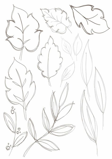 Leaf Drawing Easy, Leaves Sketch, Leaves Doodle, Drawing Floral, Leaf Drawing, Floral Drawing, Easy Doodle Art, Plant Drawing, Nature Drawing