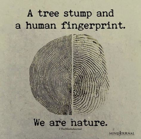 We Are Nature, Tree Stump, Nature Quotes, Human Nature, Wise Quotes, Shirt Ideas, The Words, A Tree, Spiritual Quotes