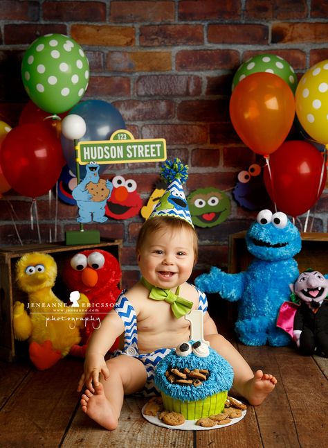 Sesame Street themed cake smash Sesame Street Birthday Party Ideas Boy, Elmo Birthday Party Boy, Cookie Monster Birthday Party, Sesame Street Cake, Cookie Monster Cake, Cookie Monster Birthday, Elmo Birthday Party, Sesame Street Birthday Party, Elmo Party