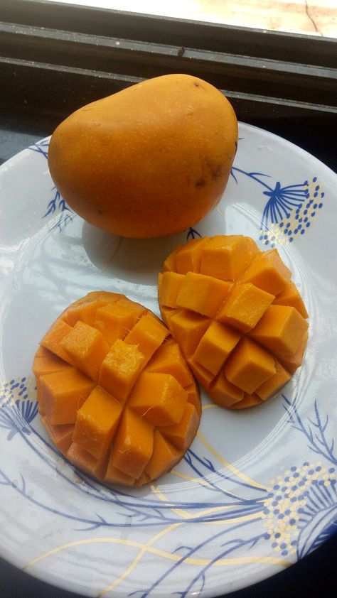 Mango summer Mango Snap, Mango Photography, Mango Aesthetic, Eating Mango, Snapchat Snaps, Toxic Quotes, Letter Wallpaper, Funny Snapchat Pictures, Foodie Instagram