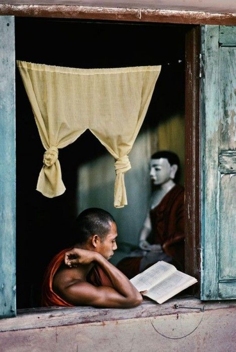 Infinite Library, Human Photography, Beautiful Energy, People Reading, Bohemian Life, Steve Mc, Afghan Girl, Steve Mccurry, Yangon