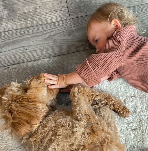 golden doodle and baby girl Golden Doodle Aesthetic, Doodle Baby, Me As A Parent, Board Manifestation, Dogs And Babies, Kids Doodles, Mini Poodles, Never Let Go, Mini Goldendoodle