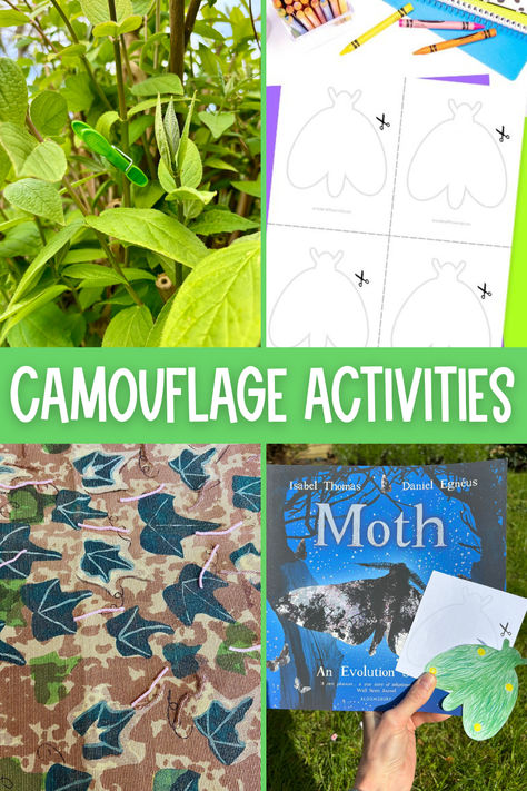 Animals use camouflage to hide themselves from others. This could be a predator sneaking up on its prey, or a prey animal keeping itself safe from being eaten! It’s a really interesting topic to explore with children in science, with lots of fascinating animals to learn about.  Read this blog post for ideas for teaching about animal camouflage including butterfly/moth coloring, wooly worms and a hide and seek walk. Camouflage Butterfly Activity, Camouflage Art Project, Animal Defenses Activities, Animal Camouflage Activities For Kids, Camouflage Activities, Animal Science Experiments, Animal Adaptations Activities, Adaptations Activities, Classifying Animals