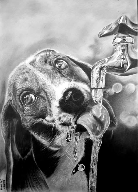 Graphite Pencils, Fine Art Print, A R, Pencil, Drawings, Water, Art