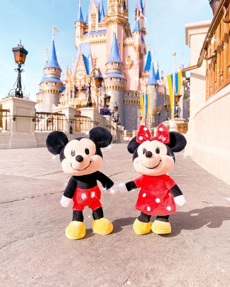 Nuimos Disney, Disneyworld Aesthetic, Disney Nuimos, Minnie Mouse Doll, Mickey Mouse Toys, Disney Tokyo, Disney Stuffed Animals, Mickey Mouse And Minnie Mouse, Disney Queens