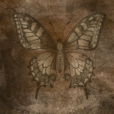 Free Paper Texture, Vintage Grunge, Background Vintage, Vintage Butterfly, Brown Aesthetic, Fairy Grunge, Pics Art, A J, Aesthetic Vintage