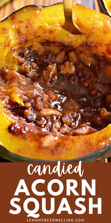 Candied Acorn Squash - baked with brown sugar, butter, cinnamon, nutmeg, and walnuts. A simple, flavorful side dish that's perfect for the holidays! Martha Stewart Acorn Squash, How To Use Acorn Squash, Candied Acorn Squash, Twice Baked Acorn Squash, Oven Baked Acorn Squash Brown Sugar, Acorn Squash Recipe Sweet, Golden Acorn Squash Recipes, Acorn Squash Brown Sugar And Butter, Candied Squash Recipe