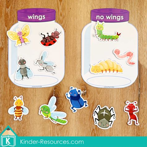 Bugs Preschool Center Activities. Sorting bugs with and without wings Insects Activities For Kindergarten, Bugs And Insects Activities For Toddlers, Insects Activities For Kids, Bugs And Insects Preschool Activities, Insects Preschool Activities, Bug Worksheets, Insect Activity, Preschool Scavenger Hunt, Vocab Activities