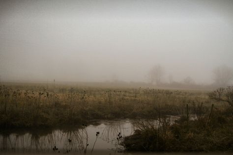 foggy marsh | by imemgee Foggy Landscape Photography, Marshes Aesthetic, Marsh Aesthetic, Foggy Landscape, Realistic Pictures, Landscapes Photography, The Woman In Black, Southern Gothic, Dark Places