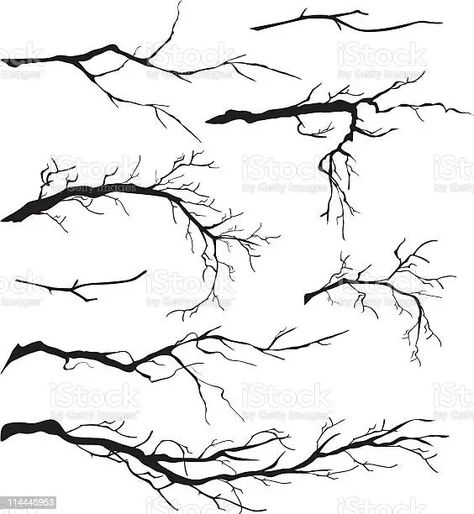 Tree Branch Reference, Branch Reference, Tree Branches Drawing, Branches Drawing, Tree Branch Tattoo, Tree Branch Art, Branch Drawing, Branch Tattoo, Fairy Tattoo Designs