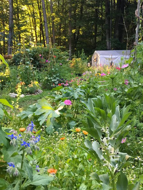 Beautiful Permaculture Garden, Flower And Vegetable Garden Combined, Overflowing Garden, Abundant Garden, Cottage Garden Ideas, Spring Flowering Trees, Tattoo Plant, Garden Magic, Privacy Plants