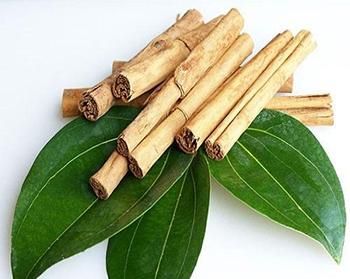 5 Plants Similar to Insulin That Lower Your Blood Sugar - The Lost Herbs Cinnamon Extract, Cassia Cinnamon, Low Blood Sugar Levels, High Blood Sugar Levels, Cinnamon Essential Oil, High Sugar, Low Blood Sugar, Digestion Process, Lower Blood Sugar