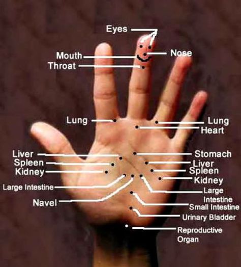 Acupuncture and Acupressure are both part of Traditional Chinese Medicine (TCM) or alternative medicine. These both work off of the pressure points and are centered on touching meridians which carry energy or chi right through a person’s body.... Shiatsu Massage Acupressure, Acupressure Therapy, Hand Reflexology, Reflexology Chart, Acupressure Massage, Reflexology Massage, Shiatsu Massage, Acupuncture Points, Acupressure Points