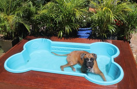 Dog Pools - Quality Bone-Shaped Pools | Australian Dog Lover Dog Bone Pool, Dog Pool Diy, Dog Pools, Luxury Dog House, Mini Swimming Pool, Airy Styles, Dog Swimming Pools, Dog Walking Services, Pinterest Predicts