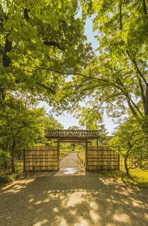 Bamboo Gate Entrance, Bamboo Gate Ideas, Bamboo Gate Design Entrance, Bamboo Gate Design, Bamboo Entrance, Bamboo Gate, Bamboo Farm, Bamboo Garden Fences, Fancy Fence