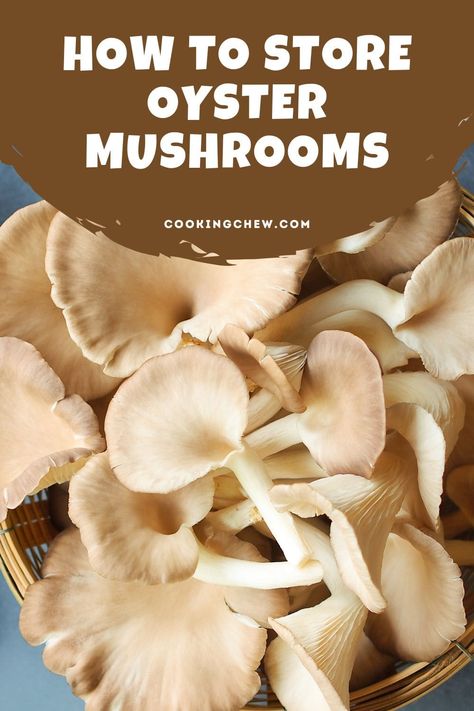 Learn how to store oyster mushrooms properly to keep them fresh for up to 7-10 days. This article covers the best methods for storing oyster mushrooms in the refrigerator, freezer, or dehydrator, as well as tips for preventing mold and spoilage. How To Store Fresh Mushrooms, Dehydrated Oyster Mushrooms, How To Preserve Oyster Mushrooms, Oyster Mushrooms Benefits, Recipes For Oyster Mushrooms, Dried Oyster Mushroom Recipe, Cooking Oyster Mushrooms, Fresh Mushrooms Recipes, Freezing Mushrooms