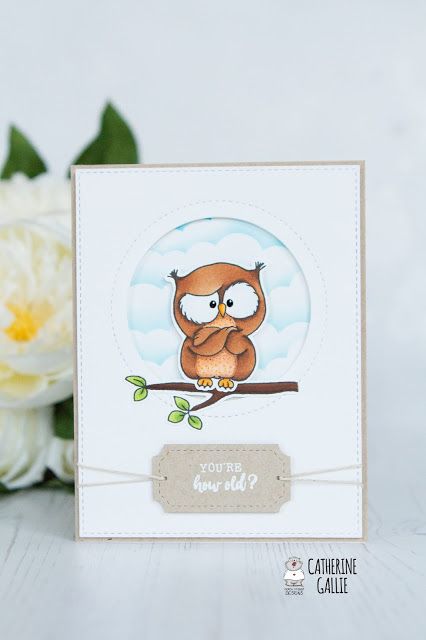 You're how old? - Owl card - Gerda Steiner Designs, LLC Owl Cards Handmade Ideas, Owl Birthday Card, Sarcastic Expression, Owl Cards, Crossed Arms, Cool Birthday Cards, Owl Birthday, Owl Card, Thank You Card Design