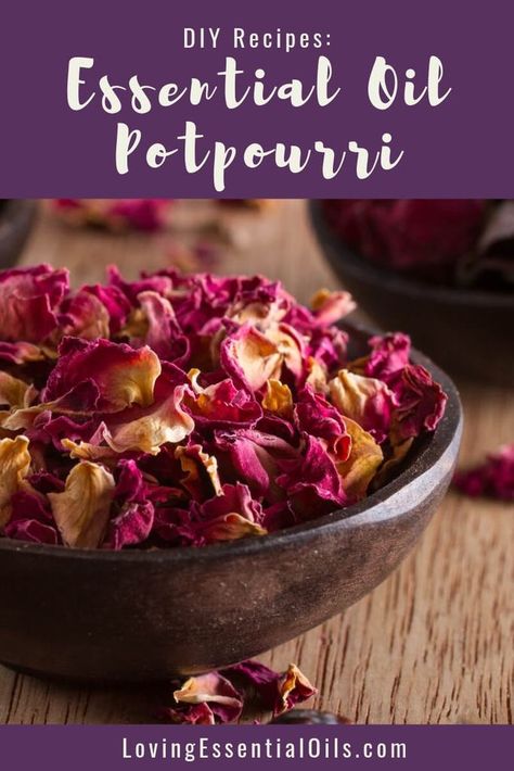 Essential Oil Potpourri with Rose Petals DIY Recipe by Loving Essential Oils | Learn how to make this simple yet beautiful DIY recipe to fill you home with a wonderful and natural fragrance Potpourri Decor, Potpourri Recipes, Healing Candles, Dried Roses, Making Essential Oils, Rose Perfume, Dried Rose Petals, Rose Fragrance, Solid Perfume