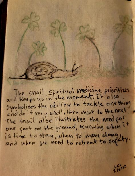 Snail Trail On Belly, Snail Quote Inspirational, Snail Spiritual Meaning, Snail Symbolism, Snail Meaning, Snail Quote, Spirit Animal Meaning, Animal Meanings, Witch Vibes