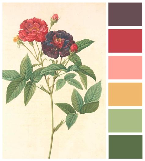 vintage flower color palette Vintage Flower Color Palette, Triangle Mural, Flower Color Palette, Color Palette Vintage, Flower Mural, Nursery Mural, Vintage Botanical Prints, Design Grafico, Paint Colours