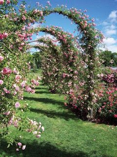 Visit Connecticut, Rose Garden Landscape, Rose Arbor, Pergola Ideas, Garden Arches, Park Rosé, Better Homes And Garden, Climbing Roses, Garden Photos