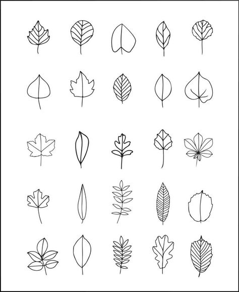 Hand Drawn Leaf Outline Leaf Drawing Outline, Doodle Bug, Hand Drawn Leaves, Leaf Outline, Tattoo Skin, Leaf Drawing, Silver Leaf, Adobe Illustrator, Hand Drawn