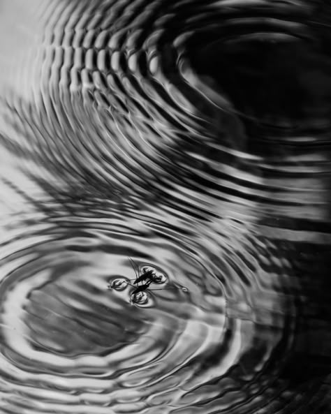 Ripple Effect | mnmfotofolio | Flickr Water Drop Ripple, Ripples In Water Drawing, Surrealism Ideas, Brand Textures, Ripple Water, Rippled Water, Ripples In Water, Water Ripple Reflection, The Ripple Effect