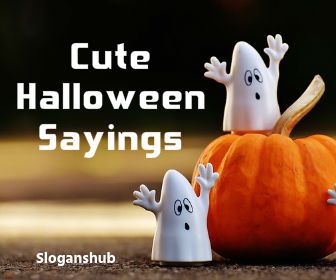 100 Cute, Spooky And Funny Halloween Sayings Batty Halloween Sayings, Mummy Quotes Halloween, Happy Halloween Quotes Cute, Cute Spooky Sayings, Halloween Quotes And Sayings Cute Short, Halloween Greetings Humor, Spooky Sayings For Letter Board, Ghost Sayings For Halloween, Halloween Quotes And Sayings Funny