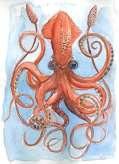 giant squids are awesome | Everything That I Think is Wonderful Lula Animal, Giant Squid Drawing, Squid Drawing, Squid Art, Colossal Squid, Squid Tattoo, Possible Tattoo, Ocean Drawing, Drawing Legs