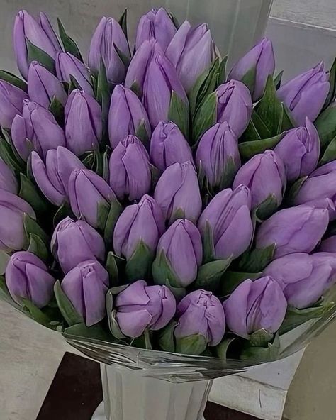 Tulip Bouquet Purple, Tulip Flower Pictures, Light Purple Flowers, Violet Pastel, Purple Flowers Wallpaper, Purple Bouquet, Boquette Flowers, Flower Gift Ideas, Tulip Bouquet