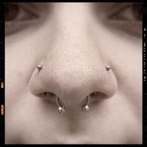 Double Nose Piercing - Septum piercing 2 Stud Nose Piercing, Double Nose And Septum Piercing, Double Nostril And Septum, Double Nostril And Septum Piercing, Nose And Septum Piercing, Double Septum, Double Nostril, Double Nostril Piercing, Double Nose Piercing