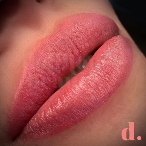 Your lips, your shade, your way! 💋✨ Custom-blended lip tattoos designed just for you, because no two smiles are the same. Ready for flawless, long-lasting colour? #LipTattooMagic by @anita.dollhousetownsville Lip Tattoos, Your Lips, Blending, Tattoo Designs, Long Lasting, Lips, Shades, Tattoos, Quick Saves