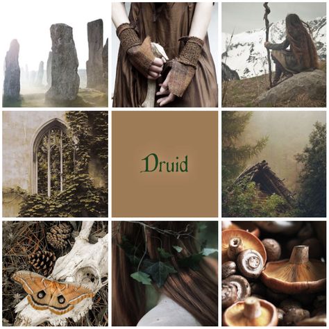 Druid moodboard Druid Witch Aesthetic, Druid Magic Aesthetic, Druidry Aesthetic, Druids Aesthetic, Wildfire Druid Aesthetic, Circle Of Stars Druid Aesthetic, Druid Dnd Aesthetic, Circle Of Spores Druid Aesthetic, Dnd Druid Aesthetic