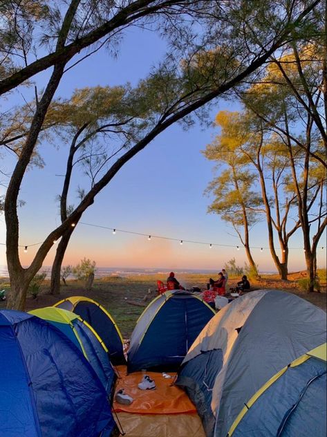 Say You Swear Meagan Brandy Book Cover, Say You Swear Book Aesthetic, Say You Swear Meagan Brandy, Say You Swear, Noah Riley, Meagan Brandy, Funny Hiking Quotes, Camping Vibes, Camping Aesthetic