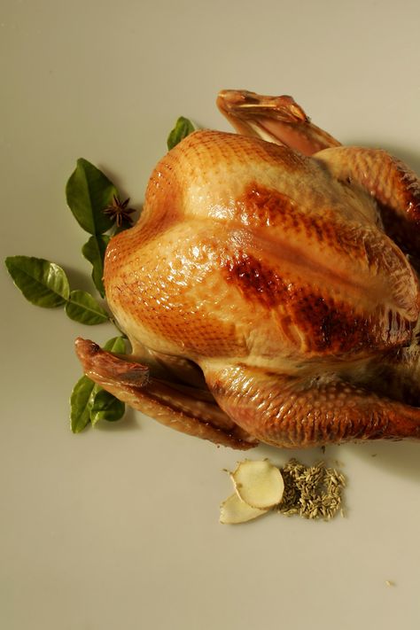 Turkey In Convection Oven, Convection Oven Turkey, Oven Turkey Recipes, Oven Turkey, Turkey Cooking Times, Convection Oven Cooking, Convection Oven Recipes, Oven Bag, Food Collection