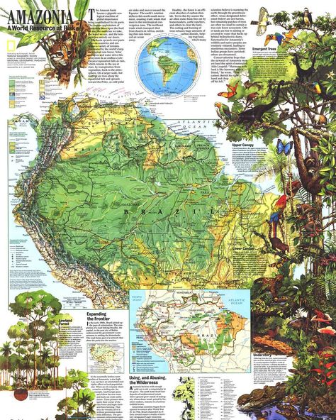 This 1992 map depicts the vast Amazon basin, a gigantic ecological machine of global importance. The basin sprawls over parts of seven… Amazon Rainforest Map, Rainforest Map, National Geographic Maps, Amazon Forest, Physical Map, Artsy Photos, Nature Posters, Wall Maps, Tropical Art