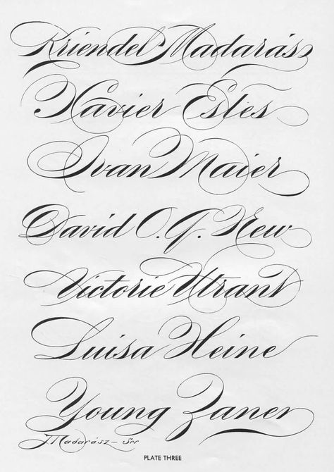 Letters For Tattoos, Cholo Tattoo, Spencerian Script, Cursive Writing Practice Sheets, Flourish Calligraphy, Furniture Stencils, Tattoo Fonts Cursive, Art Letters, Copperplate Calligraphy