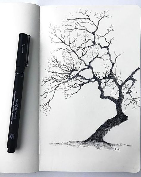 Tree Ink Sketch, Ink Tree Drawing, Bear Sketch, Black Paper Drawing, Still Life Drawing, Drawing Ink, Pen Sketch, Tree Illustration, Tree Drawing